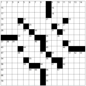 Crossword Puzzle Rogaine